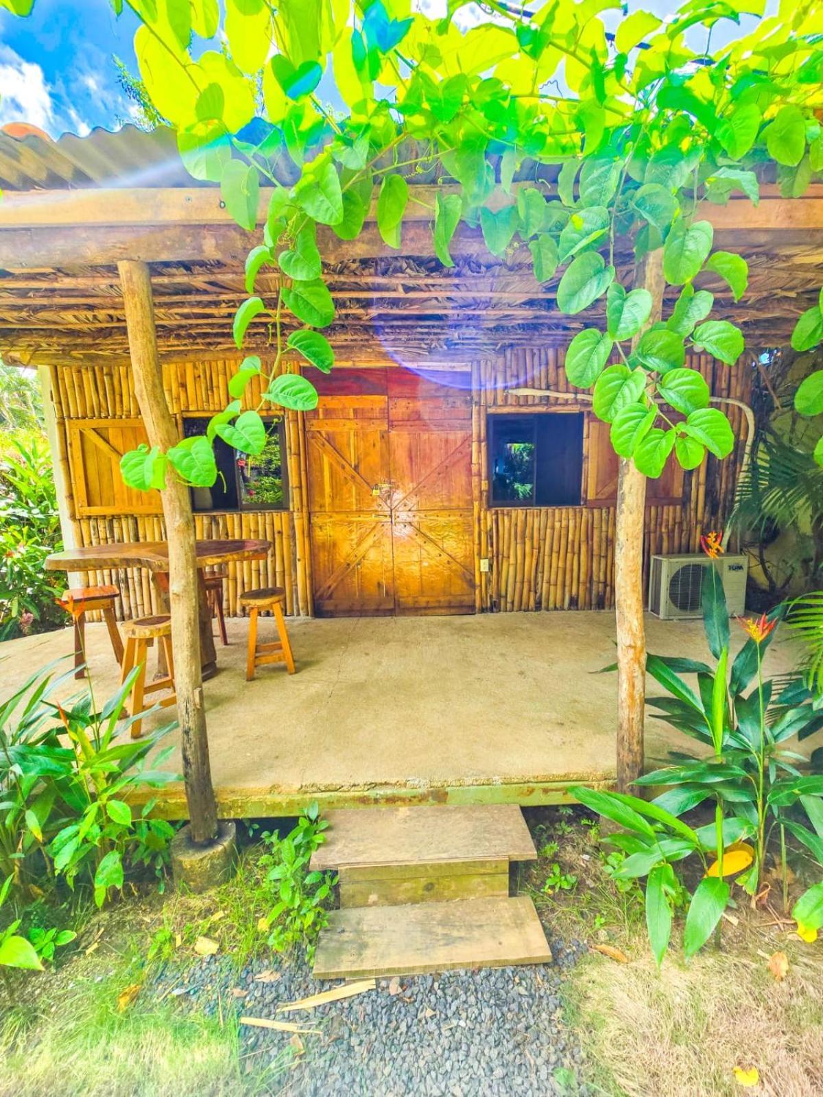 Playas del CocoHospedaje Combi Dream Bird公寓 外观 照片